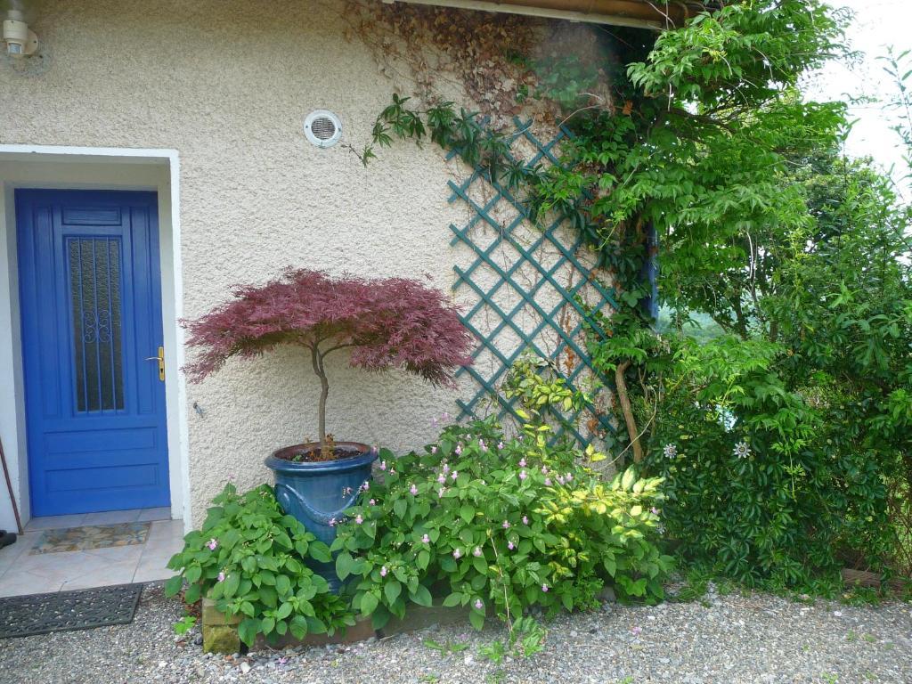 Bed and Breakfast Maison Artigouha Loubieng Exterior foto